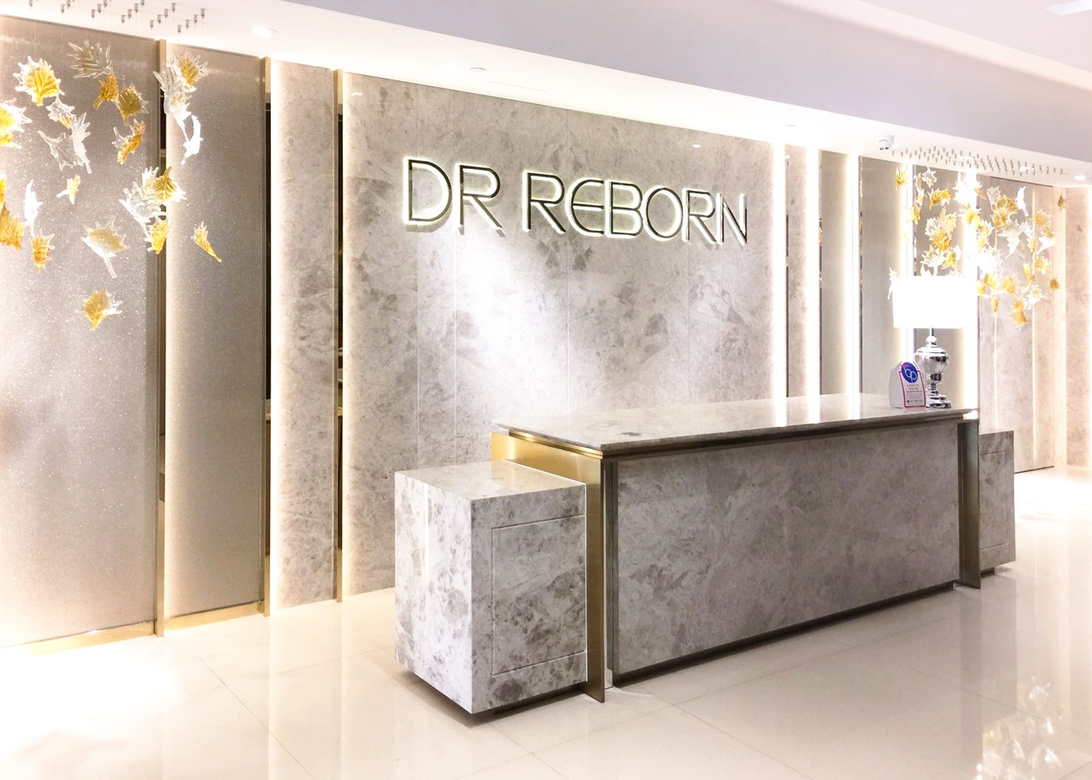 DR REBORN